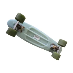 Used FISH MINI SKATEBOARD Complete Skateboard Turquoise Regular