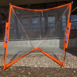 Used Lacrosse Goal