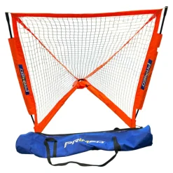 Used Lacrosse Goal