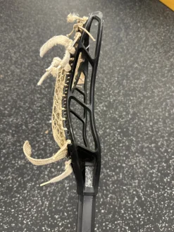 Used String King LEGEND INT Men Def/LSM Complete Stick Black