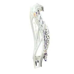 Used Warrior EVO 5 STRUNG HEAD Mens Lacrosse Head White