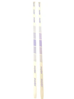 Used Alpina 1500T Mens XC Ski/Binding 195 cm