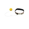 Used Boxing Accessory