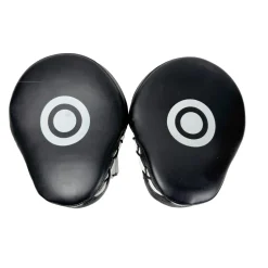 Used Boxing Training Mitts