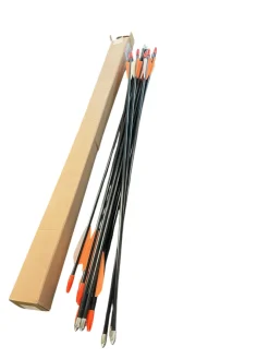 Used BULLET POINT ARROW SET OF 12 Adult Arrow