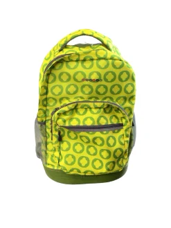 Used Disc Golf Bag Green