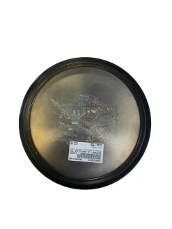 Used Discraft LE 2024 ELITE TEAM VM Z BUZZZ Disc Golf Mid Range Black 175g