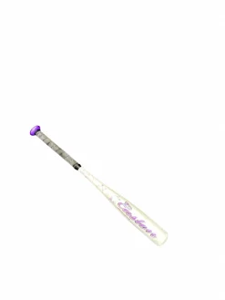 Used Easton FASTPITCH BAT BB/SB T-Ball Bat 25"
