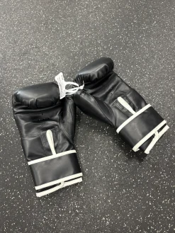 Used Everlast Boxing Gloves Black Junior