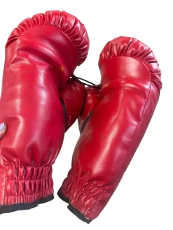 Used Everlast Boxing Gloves Red Senior