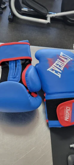 Used Everlast Boxing Gloves Royal Blue SM