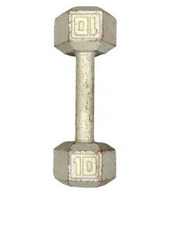 Used Hex Dumbbell (Each) 10 lb