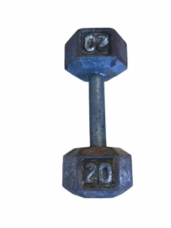 Used Hex Dumbbell (Each) 20 lb