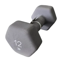 Used Hex Dumbbell (Each) 12 lb