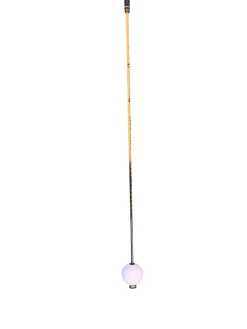 Used Momentus Swing Aid