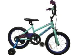 Used Nishiki Racer 16 Training Wheel Bike Teal 16"