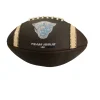 Used Official Football
