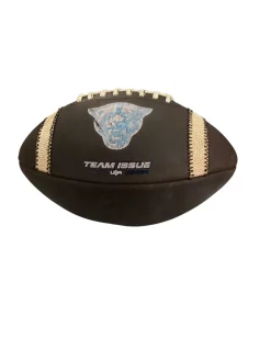 Used Official Football