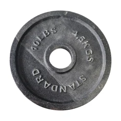 Used Olympic Plate (Each) 10 lb