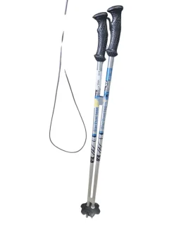 Used Rossignol SKI POLES Boys DH Ski Pole Silver 75 cm / 30 In