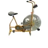 Used Schwinn AERODYNE Upright Bike