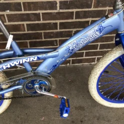 Used Schwinn RADIANT GIRLS 20IN BMX BIKE BMX Bike Girls Carolina Blue 20