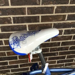 Used Schwinn RADIANT GIRLS 20IN BMX BIKE BMX Bike Girls Carolina Blue 20