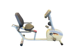 Used Schwinn 220 Recumbent Bike