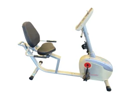 Used Schwinn 220 Recumbent Bike