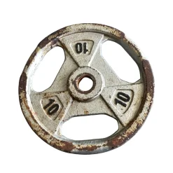 Used Standard Plate (Each) 10 lb