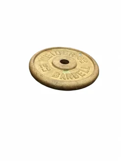 Used Standard Plate (Each) 10 lb