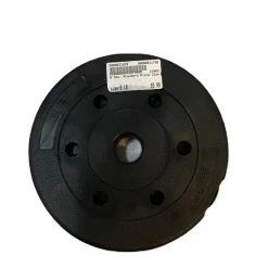 Used Standard Plate (Each) 6 lb