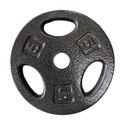 Used Standard Plate (Each) 5 lb