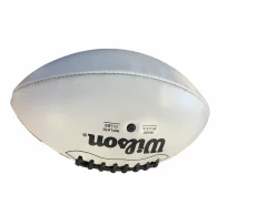 Used Wilson Junior Football